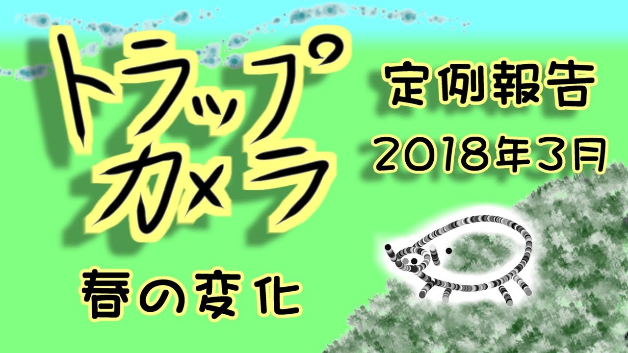 野鳥雨靴 定例トラップカメラ報告 2018年3月 生き延びた者