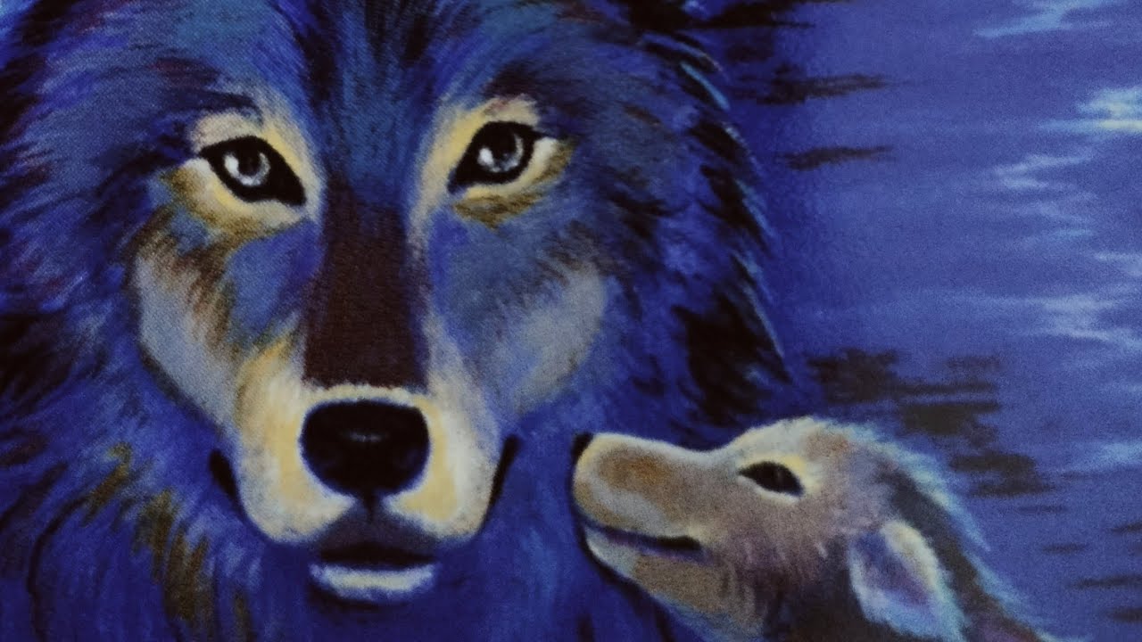 Ha rimorsi , rimpianti o sensi di colpa nei vostri confronti?😢😫🤯💖