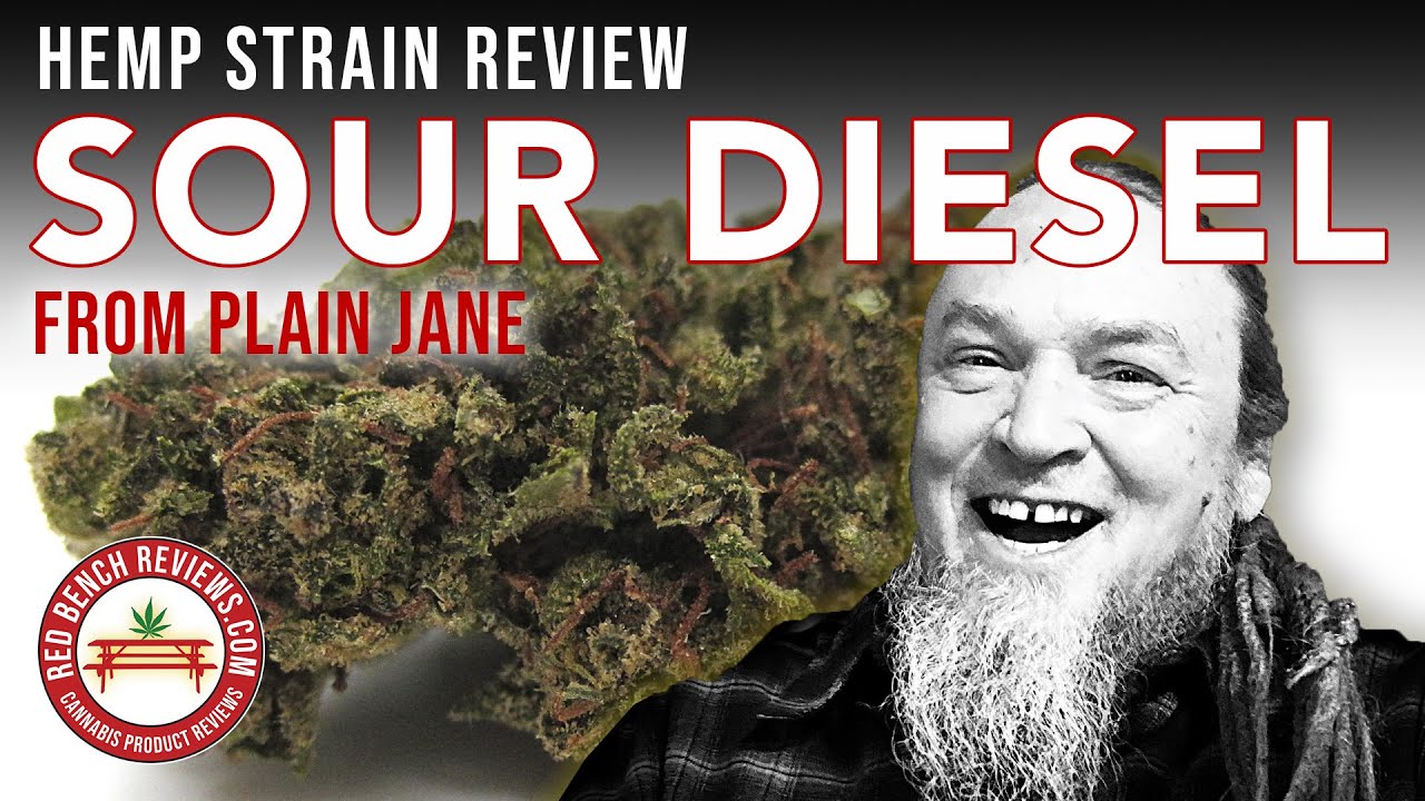 Plain Jane | Sour Diesel Strain Review | 20.2% CBD!
