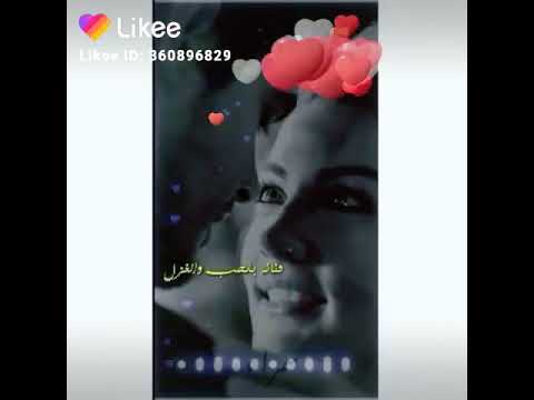 وين الكة مثلج