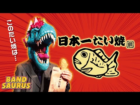 【今なら1枚サービス！】バンドザウルス 3枚セット 踊ハロにいかが？ Amazon.co.jp: ナショナルジオグラフィック 恐竜フィギュア