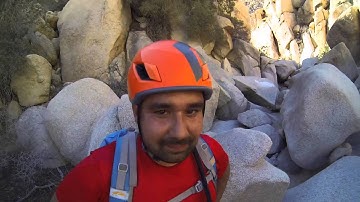 Joshua Tree WTC 2016