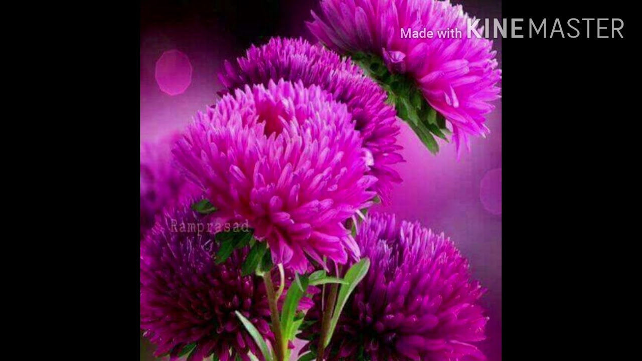 Funny audio clip YouTube