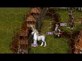 Heroes of Might and Magic III: Fighting Rampart