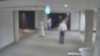 広島平和記念資料館の東館と本館を結ぶ渡り廊下の混雑状況