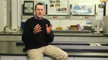 3.9 Climate in Geological History - Key Insights