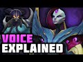 Bel'Veth's Voice Lines Explained