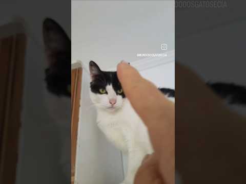 Meu dia Começou