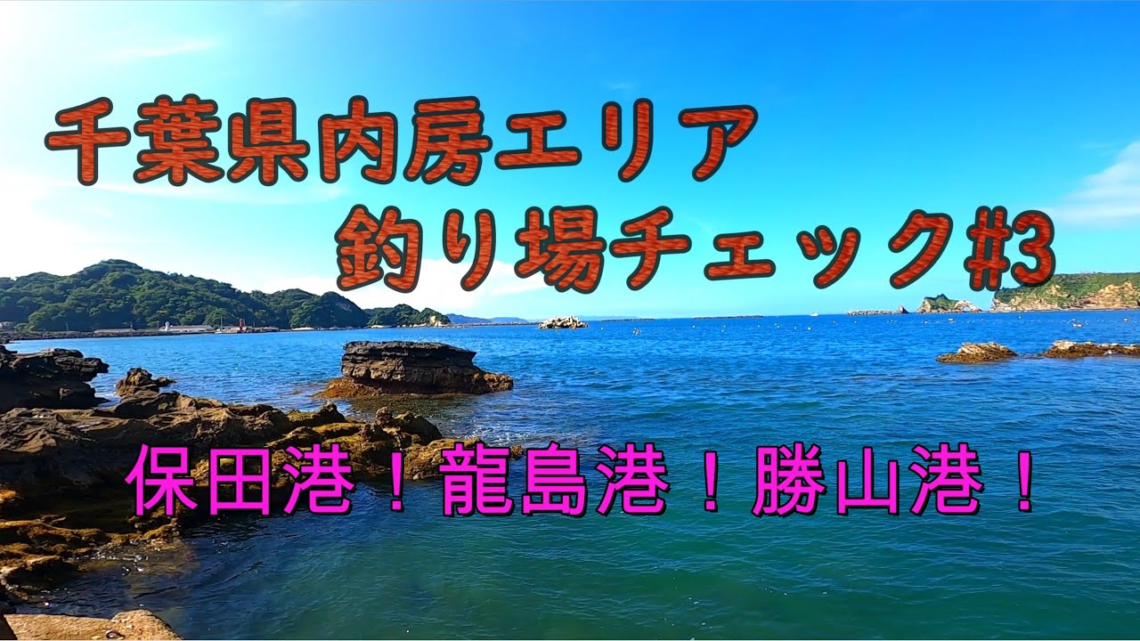 千葉房総！釣り場状況チェック！#3【保田漁港・龍島港・勝山港】