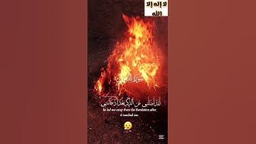 ما تيسر من سوره الفرقان الشيخ أحمد النفيس قراءن كريم لا إله إلا الله