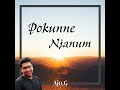 Pokunne Njanum Mp3 Song