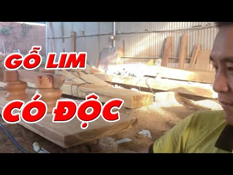 Cảnh Báo gỗ lim có độc, cảm nhận thật sự của Sơn Sập Gỗ