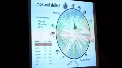 Cooney: 3D morphometrics and the evolution of avian bill morphology