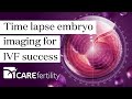 Time lapse embryo imaging for IVF success | CAREmaps | CARE Fertility
