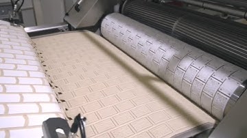 Modern Food Processing Machines operating at an Insane Level