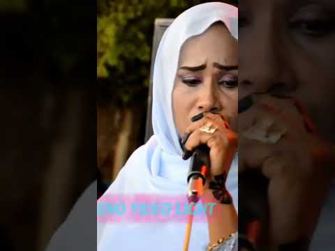 معايا معايا في الدرب الطويل بالعود أداء الملكه ميرفت عمر 2023