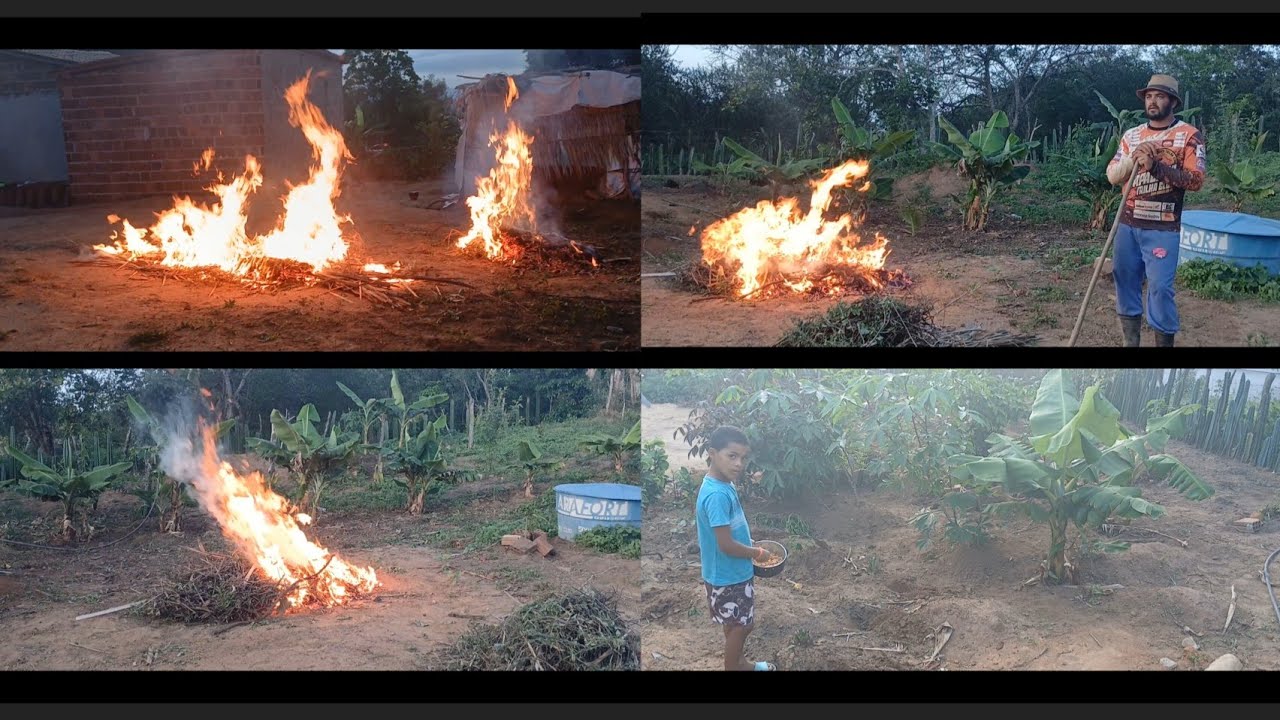HOJE EU FUI AJEITAR O LADO DO GALINHEIRO QUE EU VOU FAZER GRADE PARA AS GALINHA 🐔 🐔 