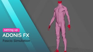 AdonisFX Fascia Simulation Profile