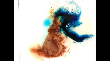 Create your own coral reef!