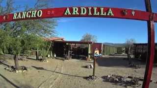 Rancho de Ardilla in Wonder Valley - A Little Slice of High Desert Heaven