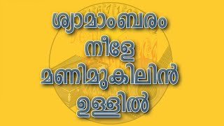 syaamaambaram neele#artham#johnson#kaithapram#kjyesudas
