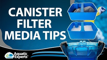 HOW TO SET UP A CANISTER FILTER FOR CRYSTAL CLEAR WATER!