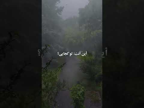 بوی خداوند انسان رو به وجد میاره الهی قمشه ای خدا ترند کلیپ عیسی قرآن قسم الله طرب