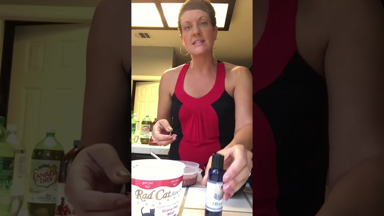 ALWAYS Add Digestive Enzymes Into Your Cat's Food | Two Crazy Cat Ladies