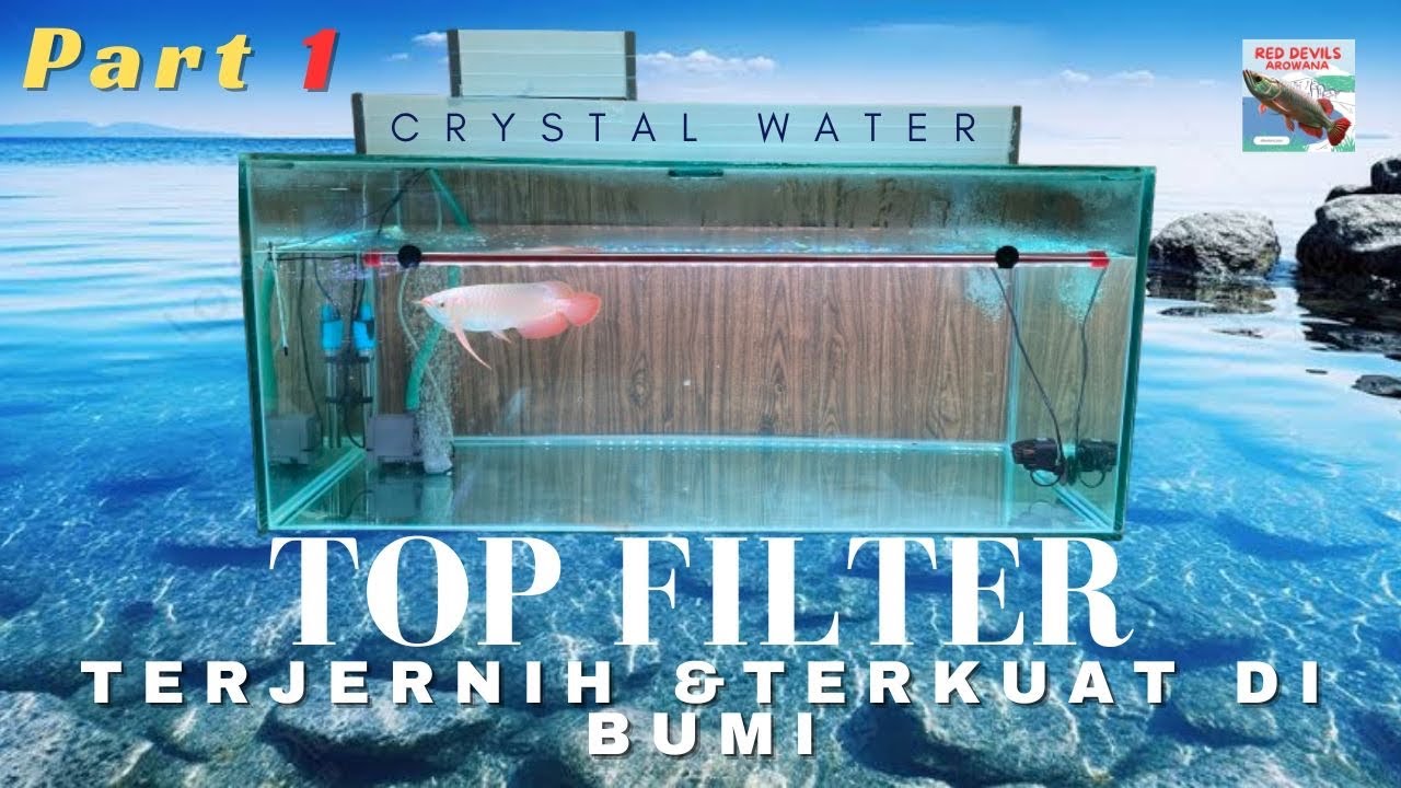 Cara Buat Top Filter Talang Air Termurah Terbaik Terjernih dan Terkuat di Bumi‼️ Untuk Ikan Arwana🔴