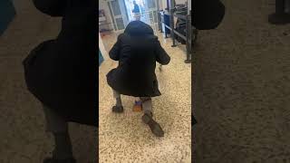 Trolley Trick Backfires in Balancing Fail