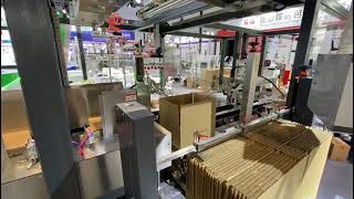 High Speed Servo Drive Cartoner Box Cartoning Machine Packing Line