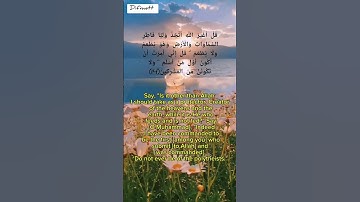 Al-Anam 14 سورة الانعام#quran #muslim #motivation #entrepreneur#success #respect  