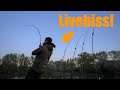 Wallerangeln // Eine Schlauchboottour ins Ungewisse incl. Livebisse // Teil 1/2
