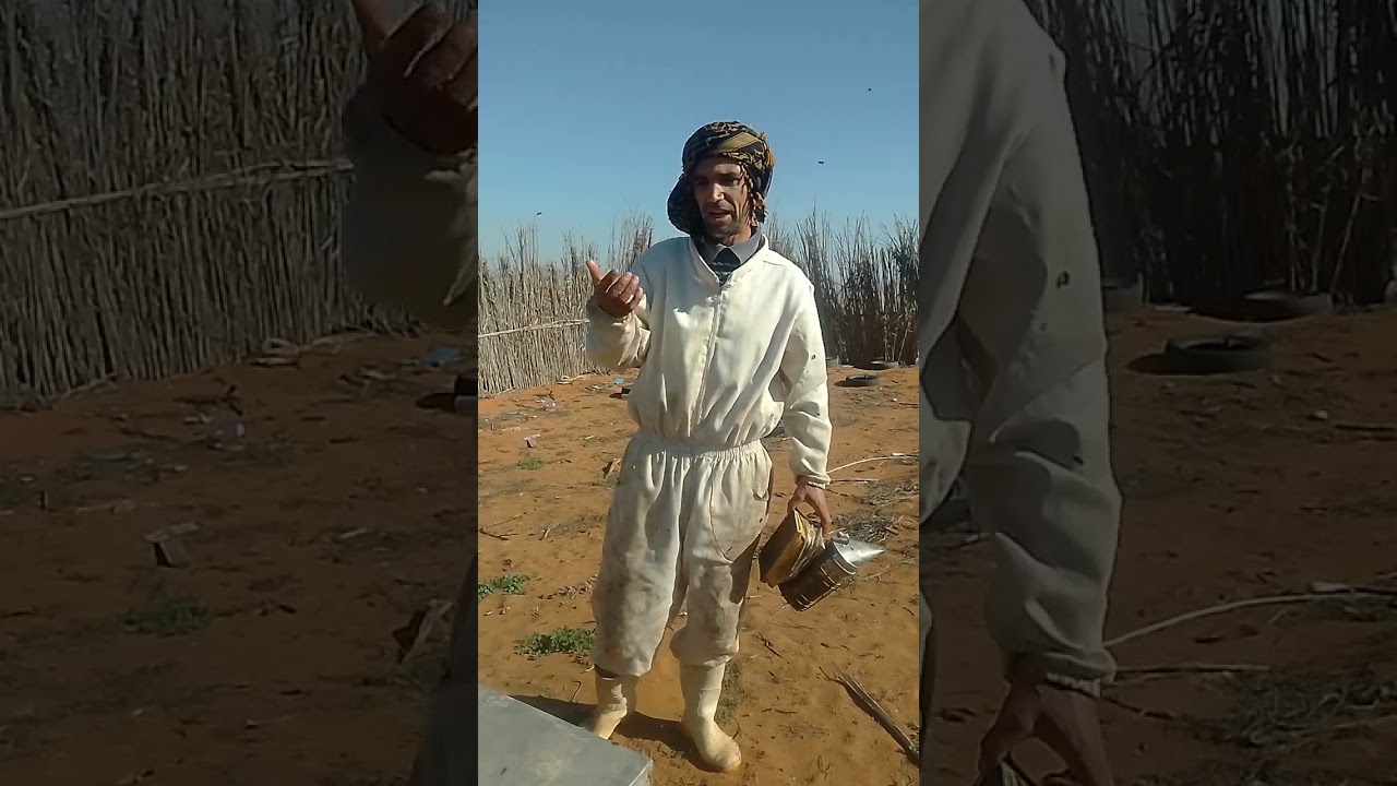 كيفية علاج الفاروة