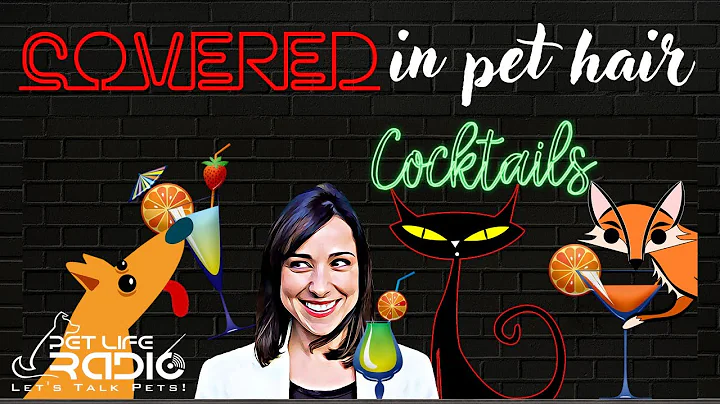 Covered In Pet Hair - Episode 56 Care with Consent...