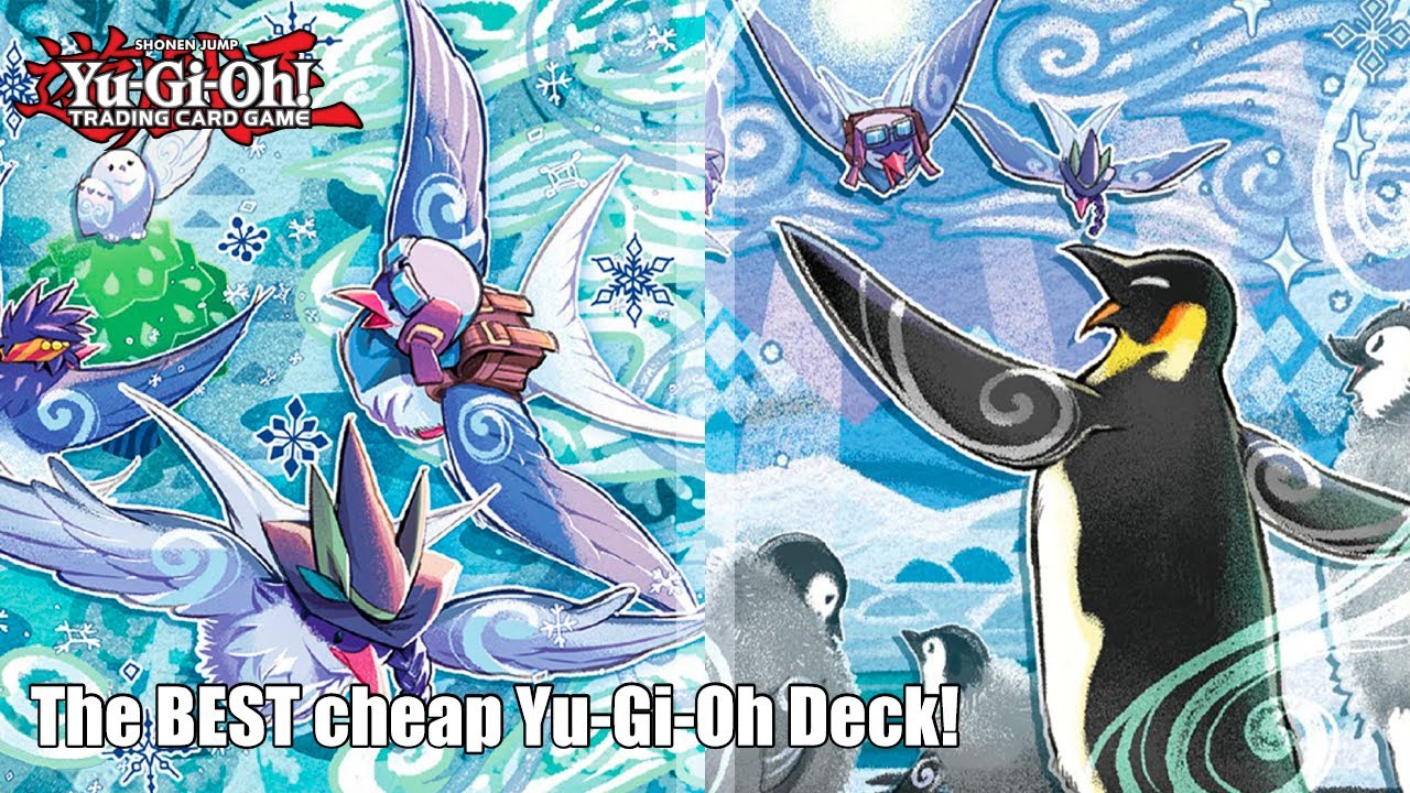best cheap yugioh cards YU-GI-OH! 200 Mixed Trading Card Lot (150 Commons, 50 Rares, No Duplicates, Holos Included, Near Mint) : Toys & Games The Best Budget Decks In