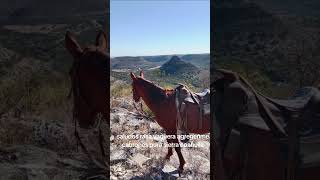 #vaqueros#cavall#rancher