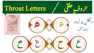 Haroof e Halqi || Throat Letters Exercise Qaida Ahsan UL Qawaid Basic tajweed Lesson