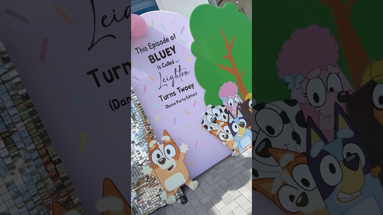 Bluey Birthday Party Decor