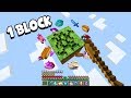 Minecraft UHC but you only get ONE block...