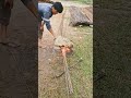 Reinforcement bar Cutting #civilengineering #reels #viral