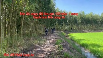 Cần bán 36 công đất lúa giá 100 triệu 1 công thuộc huyện Thạnh hóa tỉnh Long An