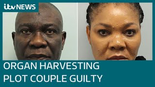 Senior Nigerian politician and wife guilty of organ harvesting plot in London| ITV News