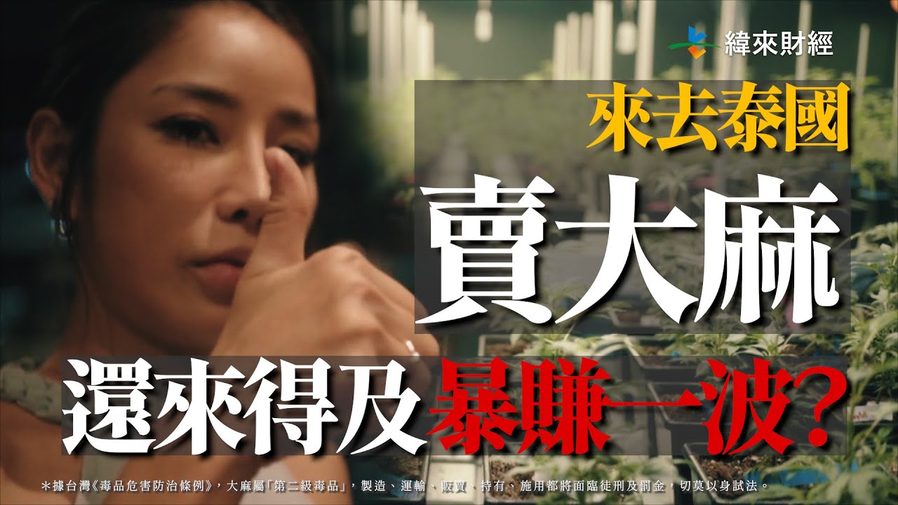 大麻店比7-11還多，泰國大麻市場是否走向飽和？@videolandnews