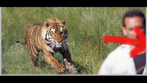 Midas touch app review [A catch?] Midas Touch app Bonus Cashback UDEMY