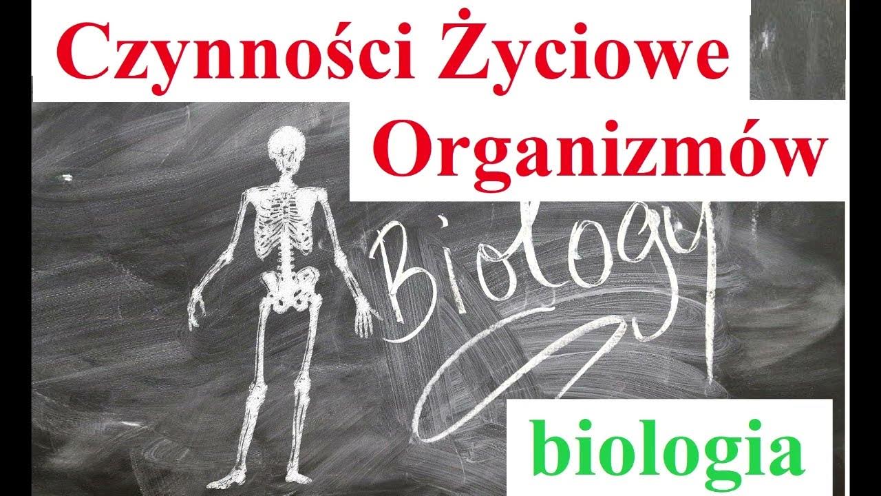 Sprawdzian Blizej Biologi 1 Jednosc Organizmow