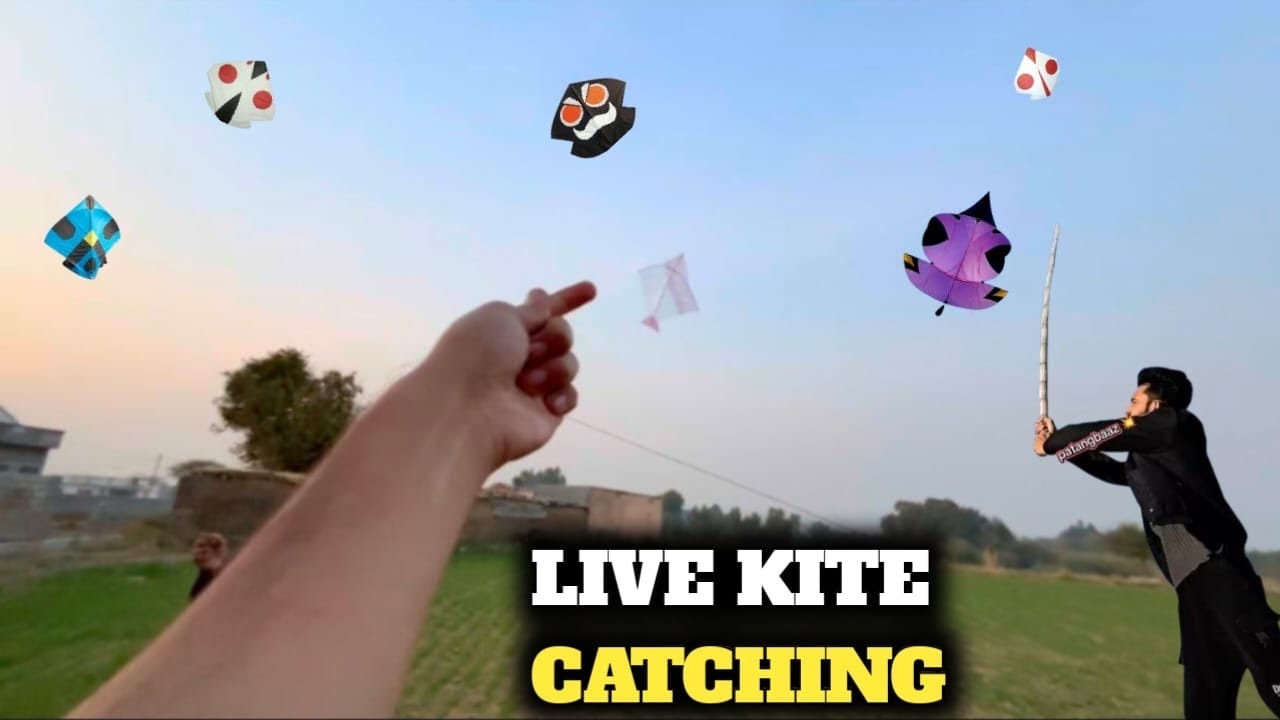 Live kite catching😍 || Ground kite flying🪁 || Kite fighting🔥 || Full on scenes🥵 || Kite || Kites