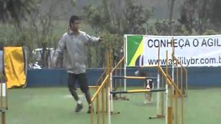 Combinado Dino 7 Etapa