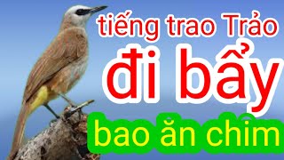 tiếng trao trảo đi bẩy bao ăn chim #1