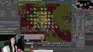 BORA SERVIDOR NOVO OPEN DIA 14 TIBIA/RUBINOT!!  !PIX  !DRACOINS